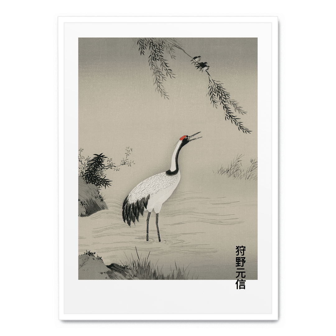 Japanese Crane In Water