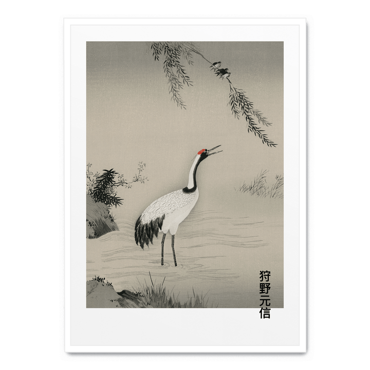 Japanese Crane In Water