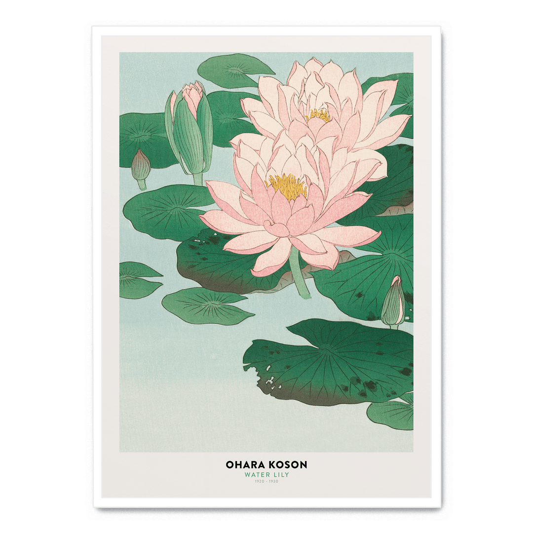 Ohara Koson - Water Lily