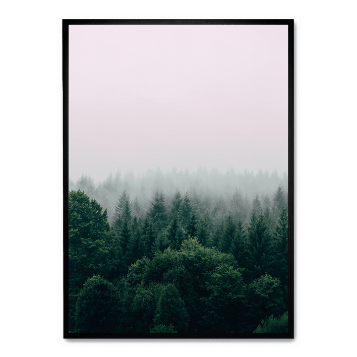 Fog Over The Forest