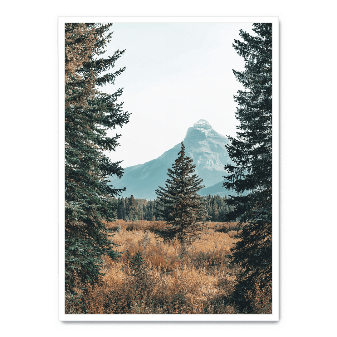 Landscape With Pinetrees