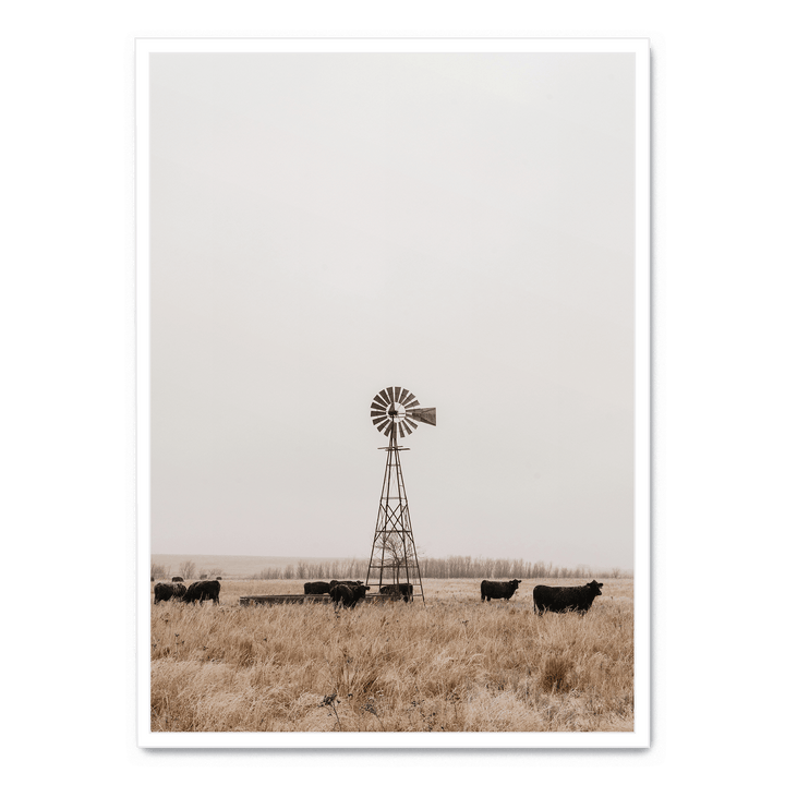 Old Fashioned Windmill