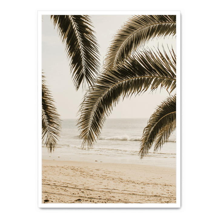 Palm Leaves On The Beach