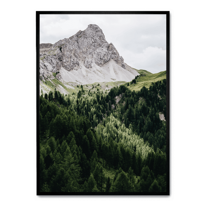 Pinetrees And Mountain