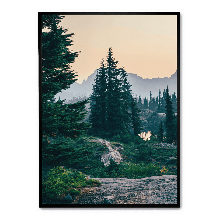 Sunshine In The Woods2