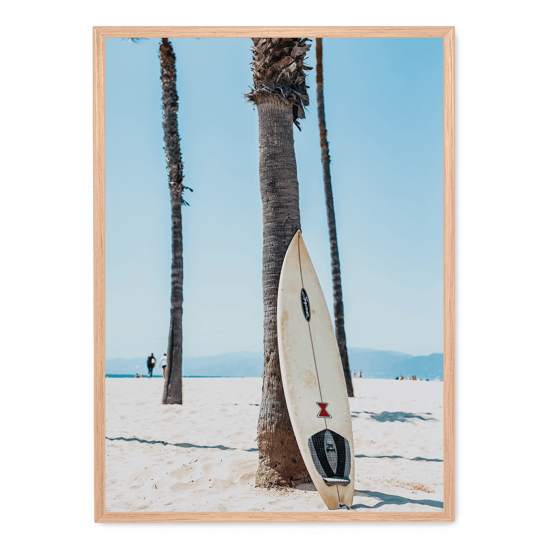 Surfboard By A Palm Tree