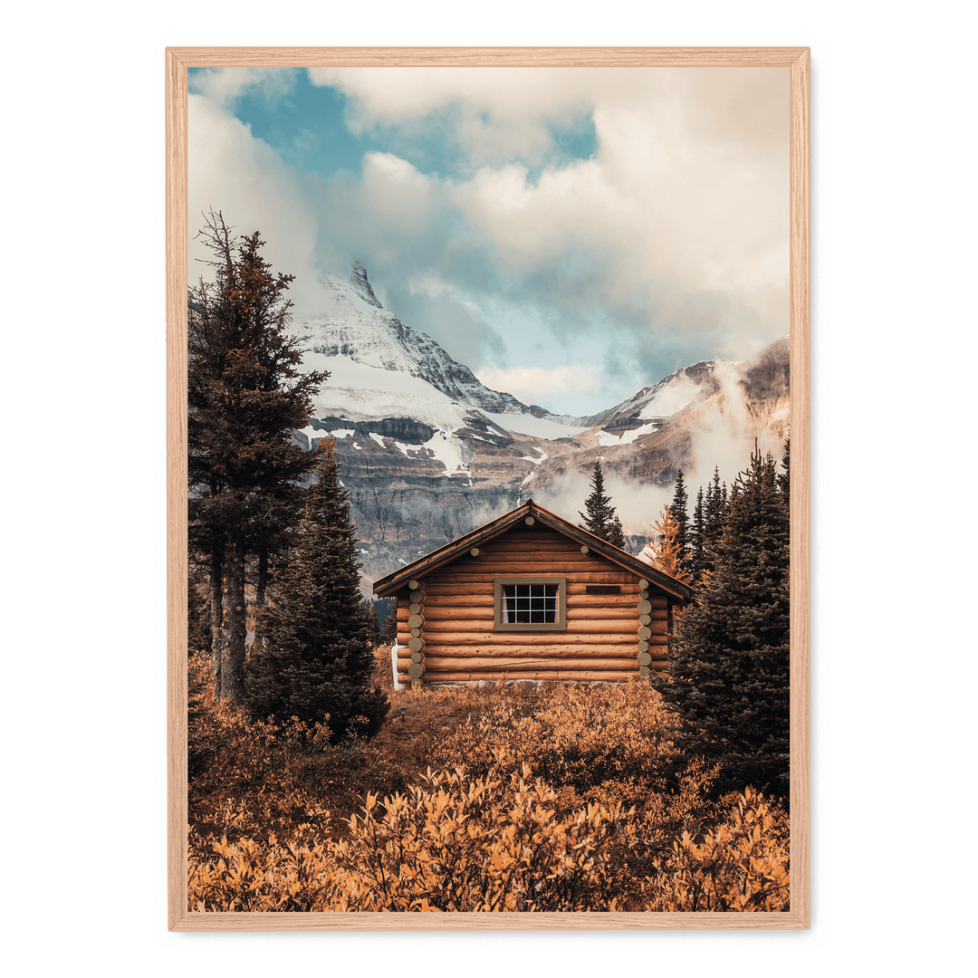 Wooden House In Nature