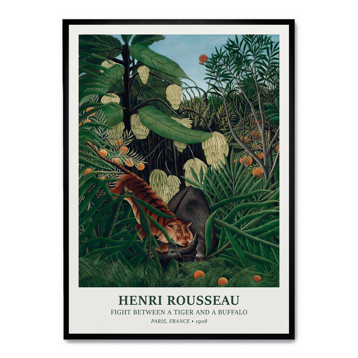 Fight Between A Tiger And A Buffalo