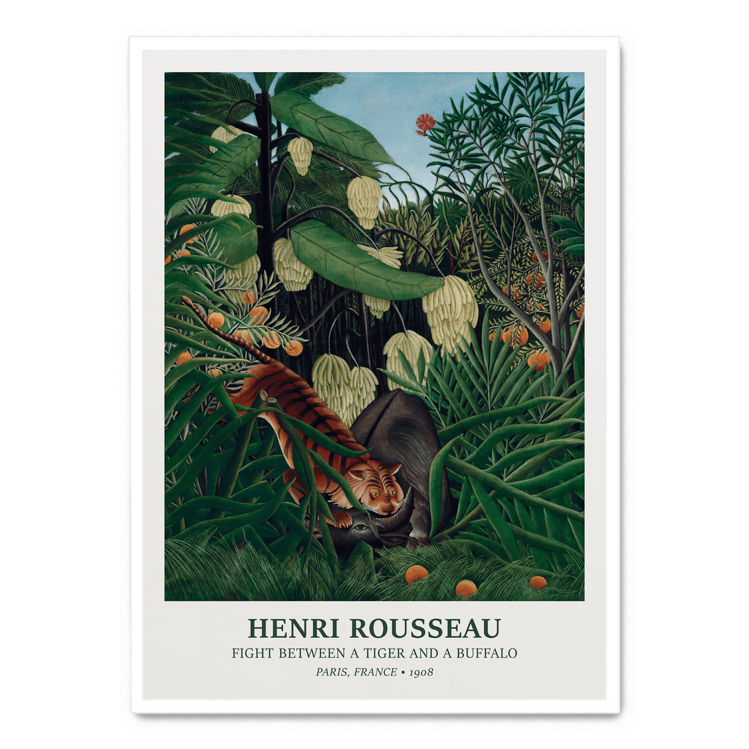 Fight Between A Tiger And A Buffalo