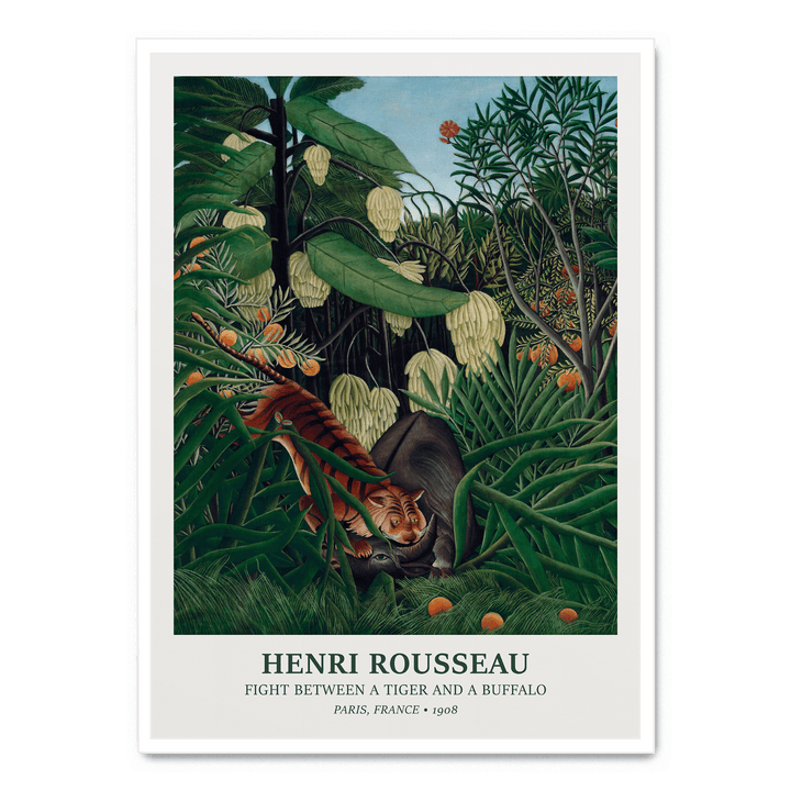 Fight Between A Tiger And A Buffalo