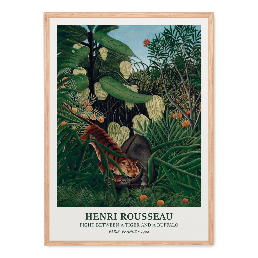 Fight Between A Tiger And A Buffalo