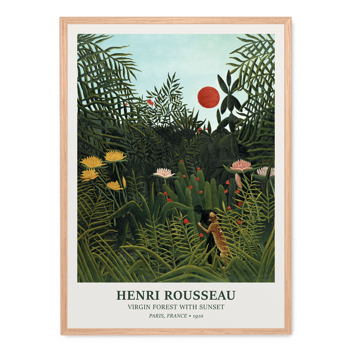 Virgin Forest With Sunset