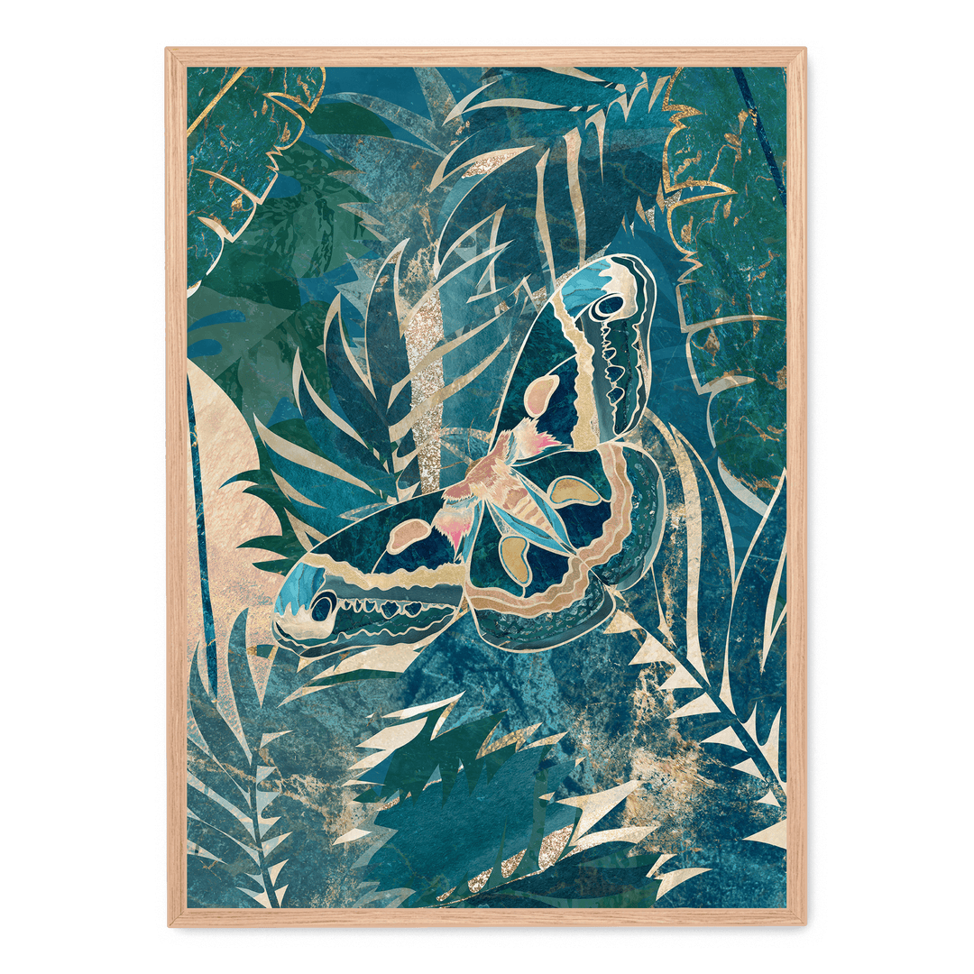 Moth In The Rainforest